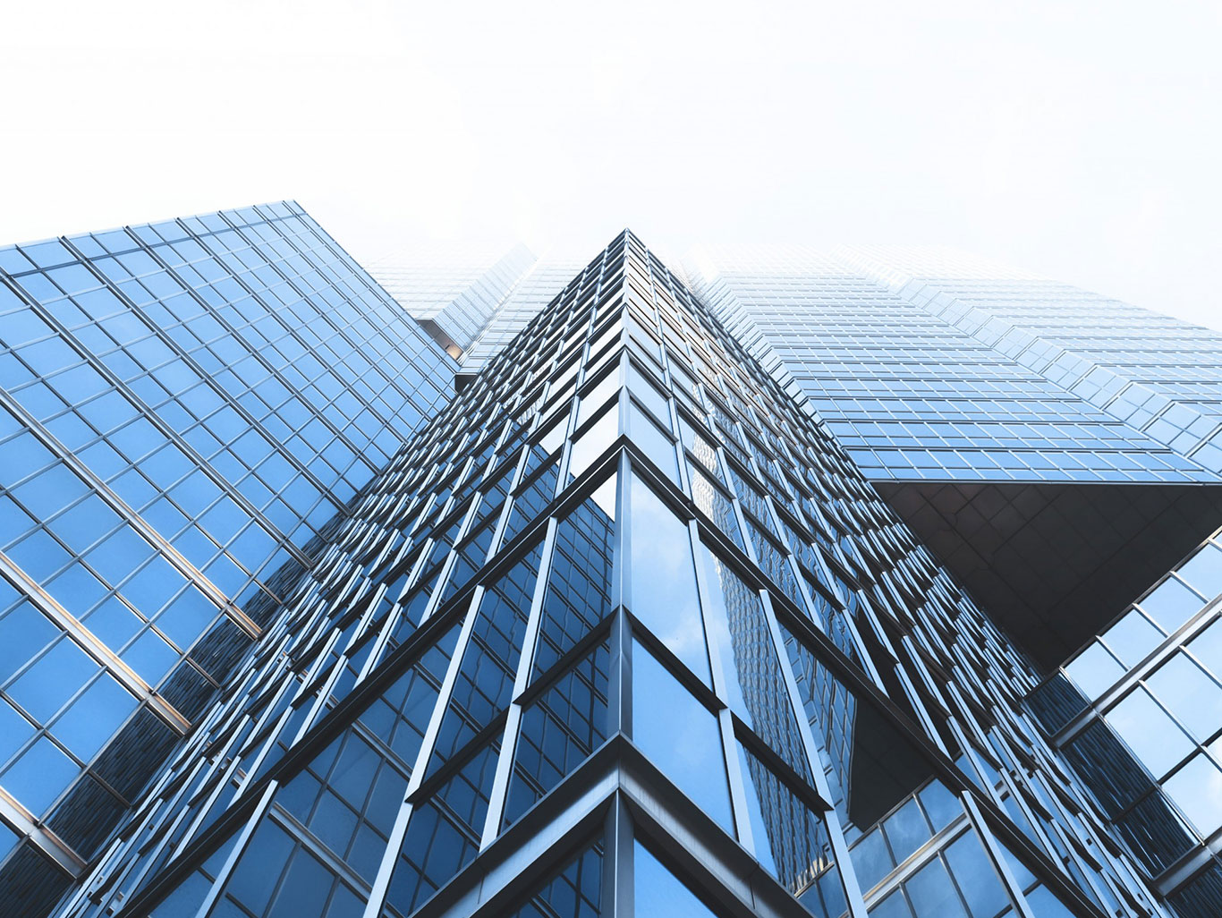 Multistory Building in Steel Structure